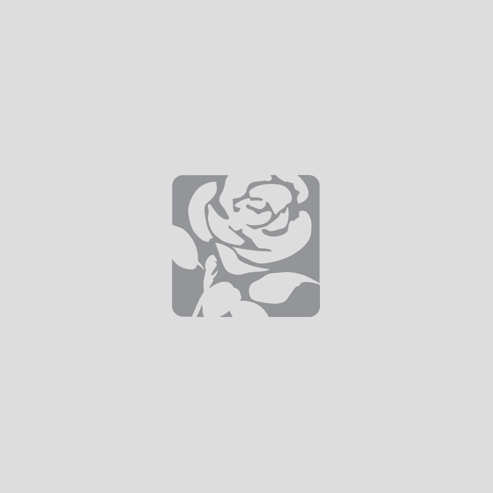 Amanda Martin MP